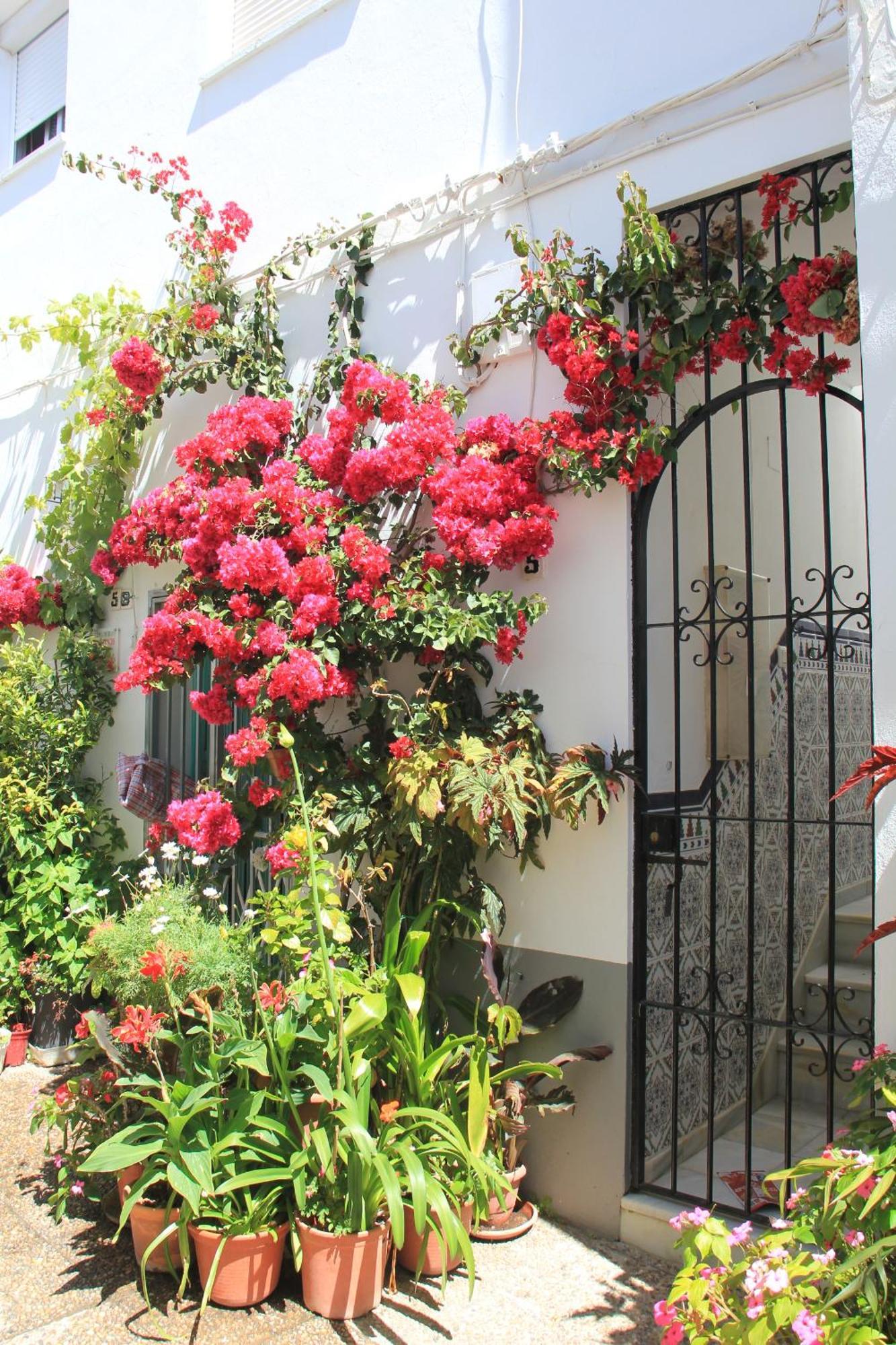 Casa Magallanes Conil Villa Conil De La Frontera Bagian luar foto
